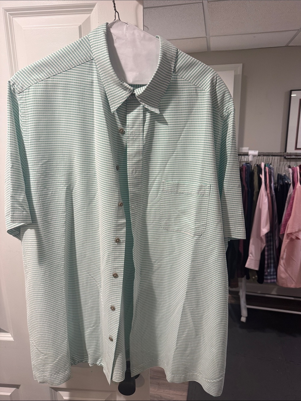 Roundtree &Yorke Men's Short-Sleeve Button-Up Shirt in Mint Green stripe